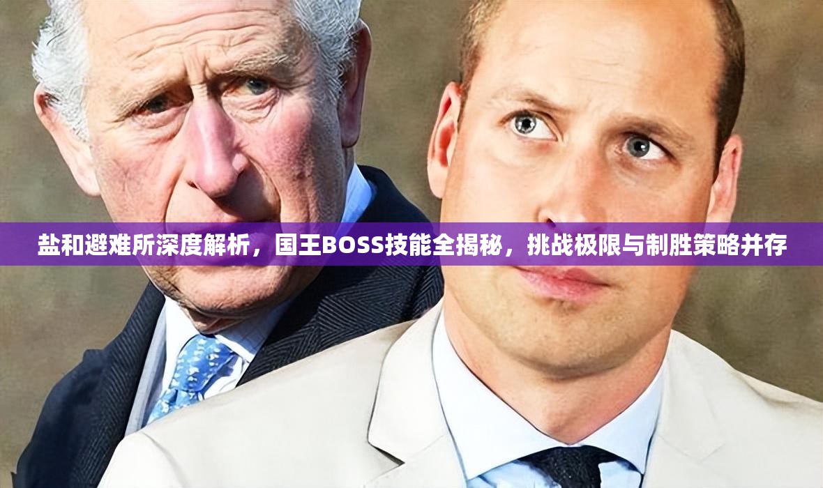 鹽和避難所深度解析，國王BOSS技能全揭秘，挑戰極限與制勝策略并存